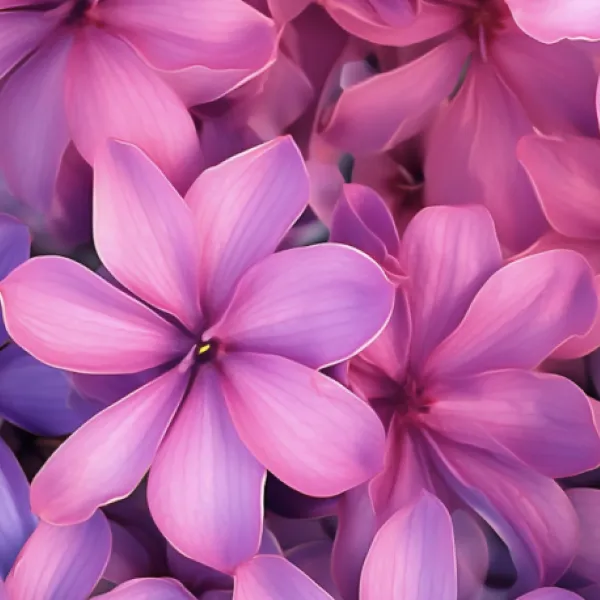 Wallpaper Creator